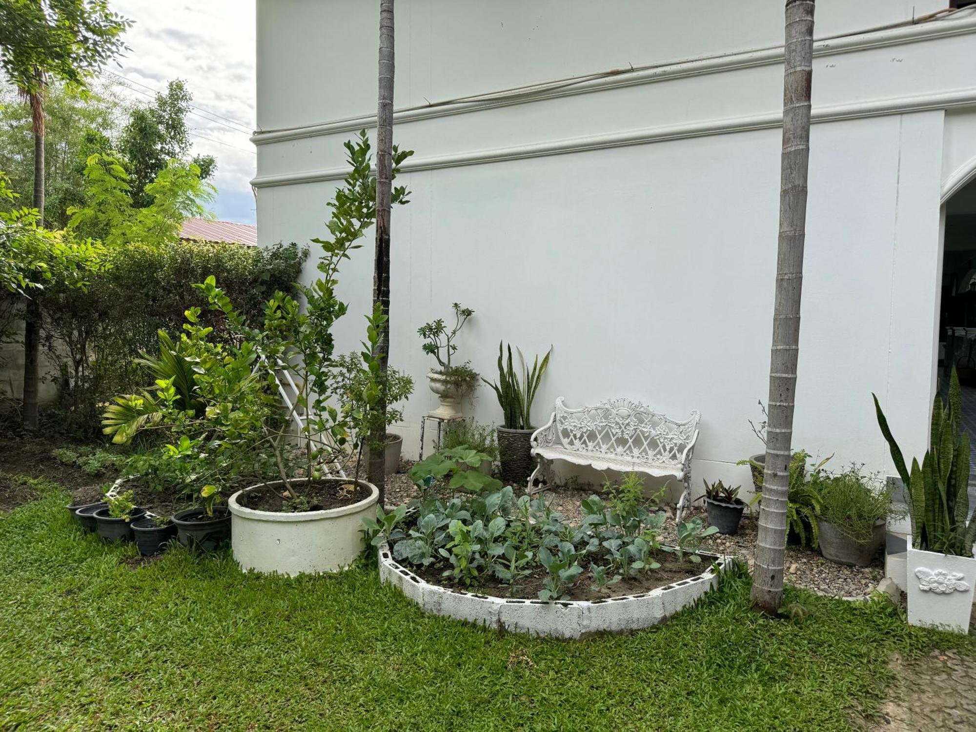Chiang Mai Las Orquideas Resort المظهر الخارجي الصورة